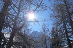 IMG_0199