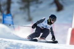 2015_02_16-Riesentorlauf-27
