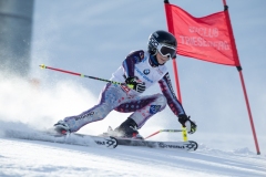 2015_02_16-Riesentorlauf-45