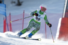 2015_02_16-Riesentorlauf-49