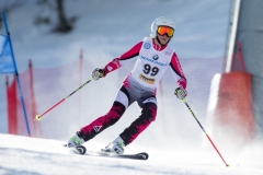 2015_02_16-Riesentorlauf-53