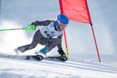 2015_02_16-Riesentorlauf-55