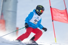 2015_02_16-Riesentorlauf-58