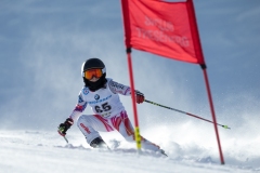 2015_02_16-Riesentorlauf-60