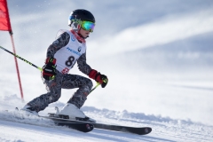 2015_02_16-Riesentorlauf-82