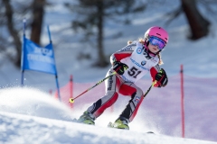 2015_02_16-Riesentorlauf-97