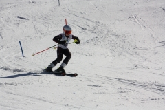 IMG_3517
