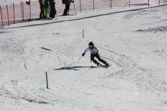 IMG_3519