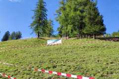 IMG-20210905-WA0025